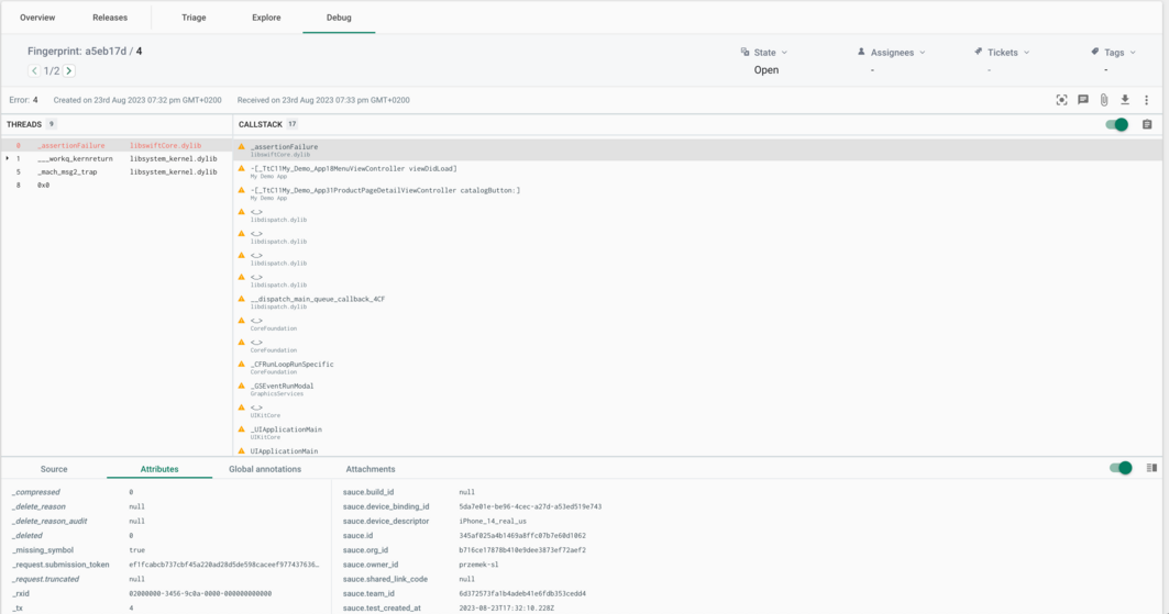 Debug view in Error Reporting